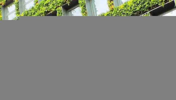 Green Buildings Green Buildings: It’s More Than Just Green Walls(图1)
